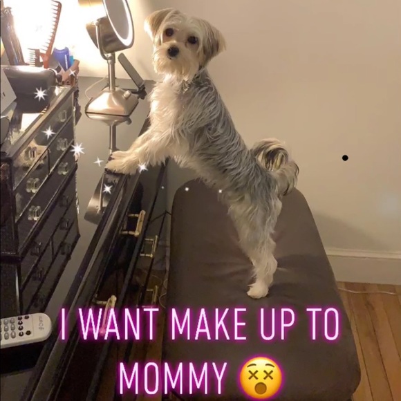 Meet your Posher, Gloria - Picture 2 of 4